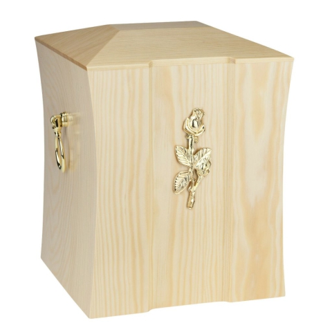 box-of-ashes box of ashes
